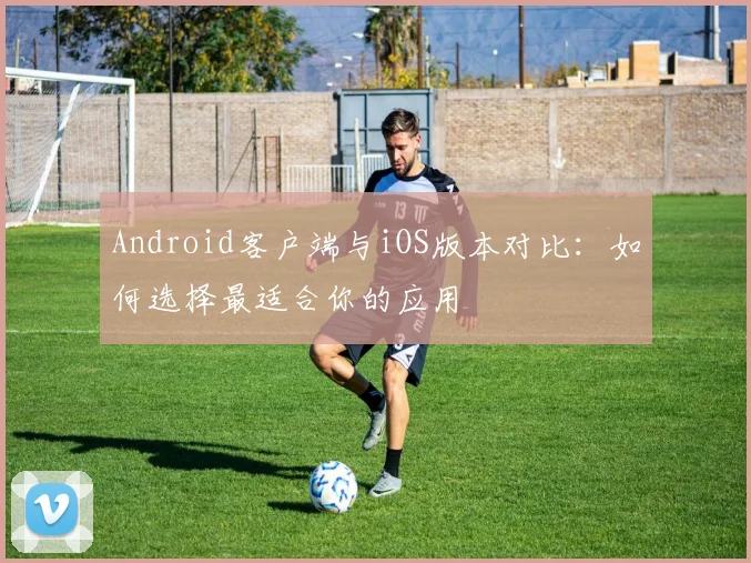 Android客户端与iOS版本对比：如何选择最适合你的应用