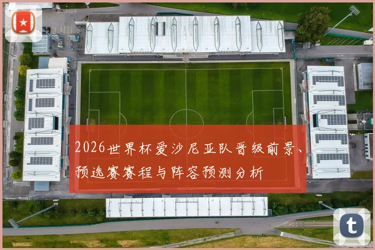2026世界杯爱沙尼亚队晋级前景、预选赛赛程与阵容预测分析